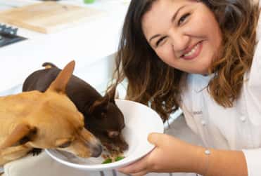 Grátis: primeiro livro de alta cozinha para cães